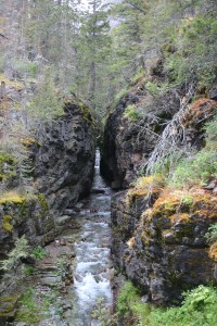 Slot canyon in Glacier National Park, MT.