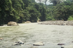 Rio Bonyic, buffer zone of PILA (2006, Jason Gray)