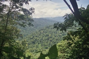 Overlooking Rio Bonyic, on buffer zone of PILA (2006, Jason Gray)
