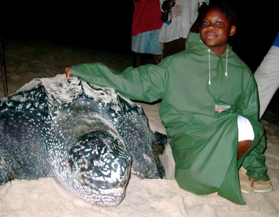 Student posing with a nesting leatherback turtle near Gamba